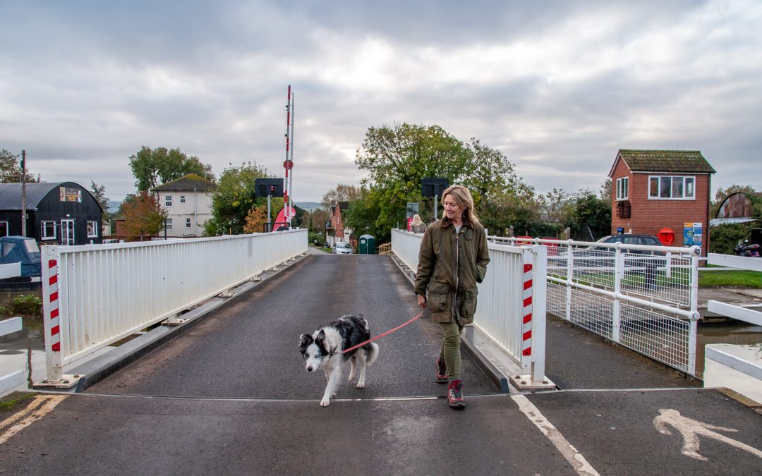 Slimbridge – Maiden Voyage in the Autocruise – Oct 2019